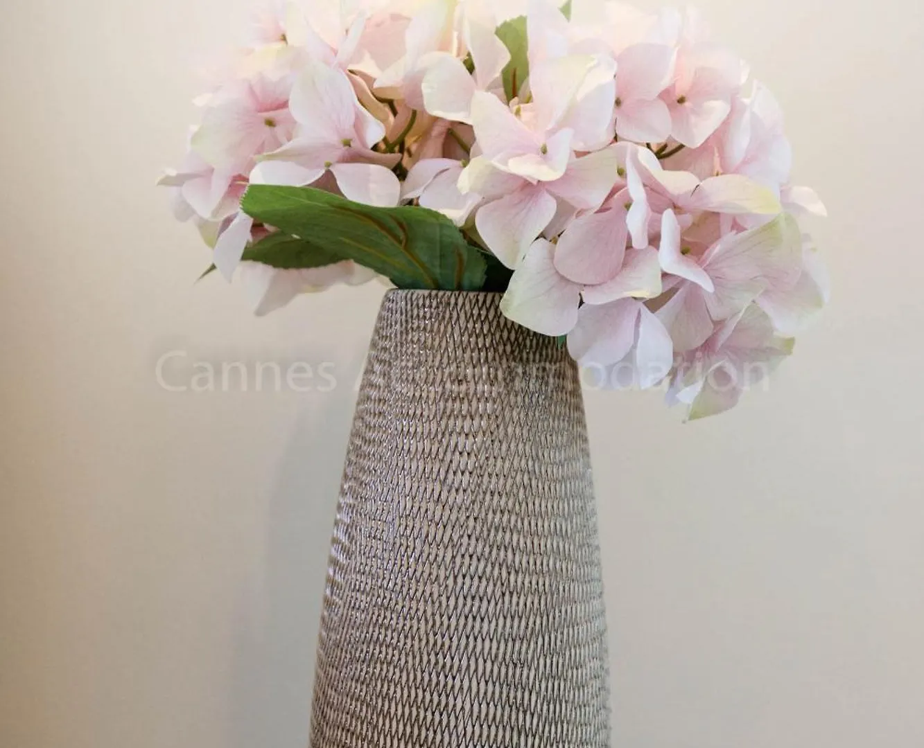 Candy Cannes 0*,